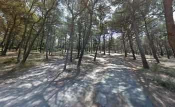 Bois de seriege